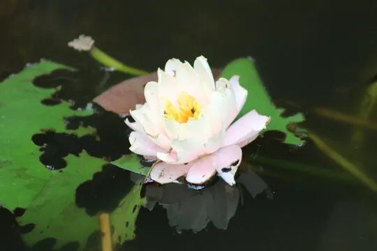 壹号娱乐入口 下一步指引